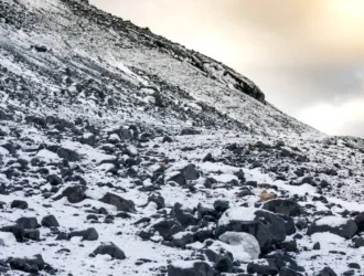 Complete Shilajit Guide 2024_ Benefits, Dosage & Where to Buy _ Herbal Solutions