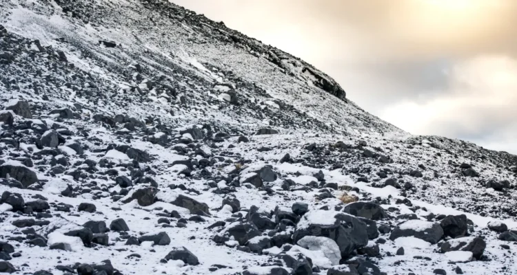 Complete Shilajit Guide 2024_ Benefits, Dosage & Where to Buy _ Herbal Solutions