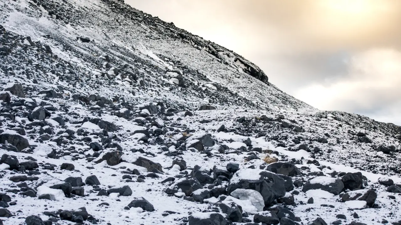 Complete Shilajit Guide 2024_ Benefits, Dosage & Where to Buy _ Herbal Solutions