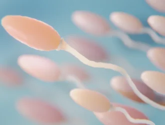 How to Increase Testosterone Level