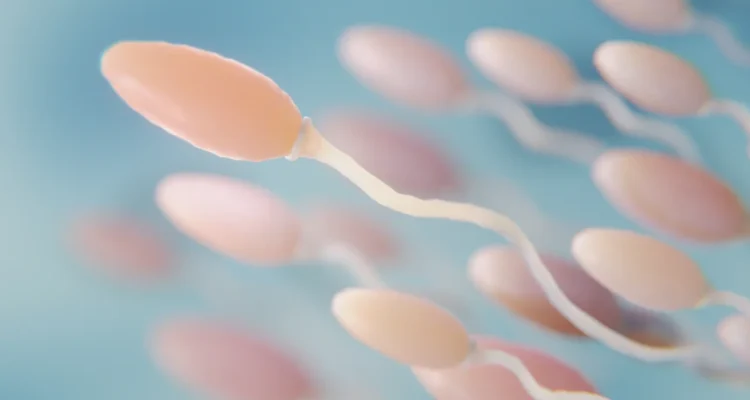 How to Increase Testosterone Level