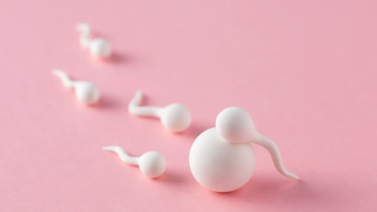 Sperm Count and Male Fertility