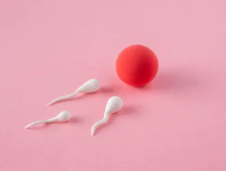 Increase Sperm Count Fast