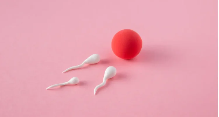 Increase Sperm Count Fast