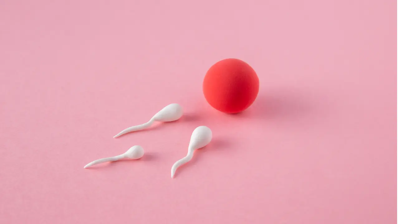 Increase Sperm Count Fast